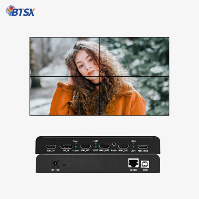 Bitvisus UHD WUXGA プロジェクションマッピング エッジフュージョン ブレンディング イマーシブインタラクション マルチスクリーン エキスパンダー ビデオウォールコントローラー